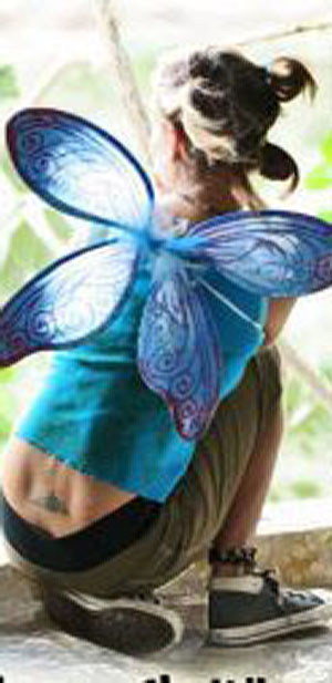 thumbnail_dragonfly_wings