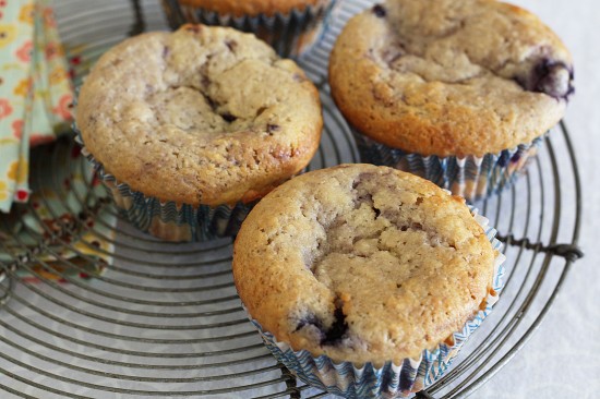lemon blueberry cakes