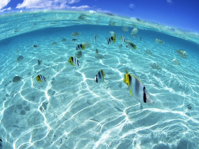 Aquamarine_water_sea_sky_in_Hawaii_JY066_350A