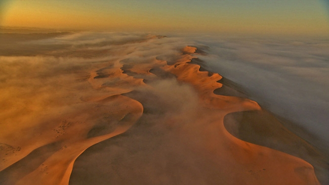 Sand dunes of the Kalahari