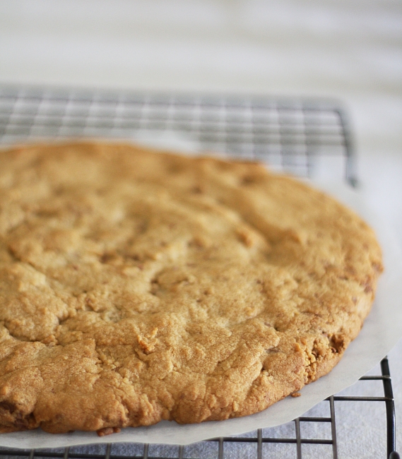 giant cookie plain