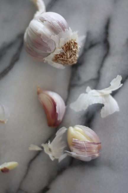 garlic