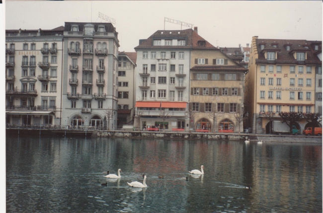 Lucerne (thanks Stefanie)