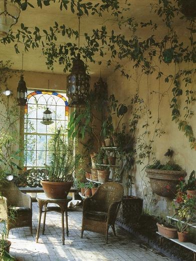 Indoor plants for interiors  a splash of vanilla