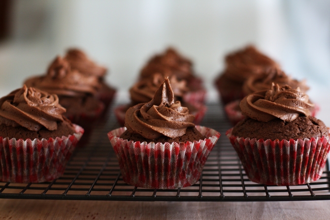 chocolate cupcakes