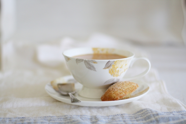 orange madeleines