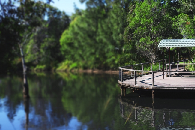 bowies wetlands