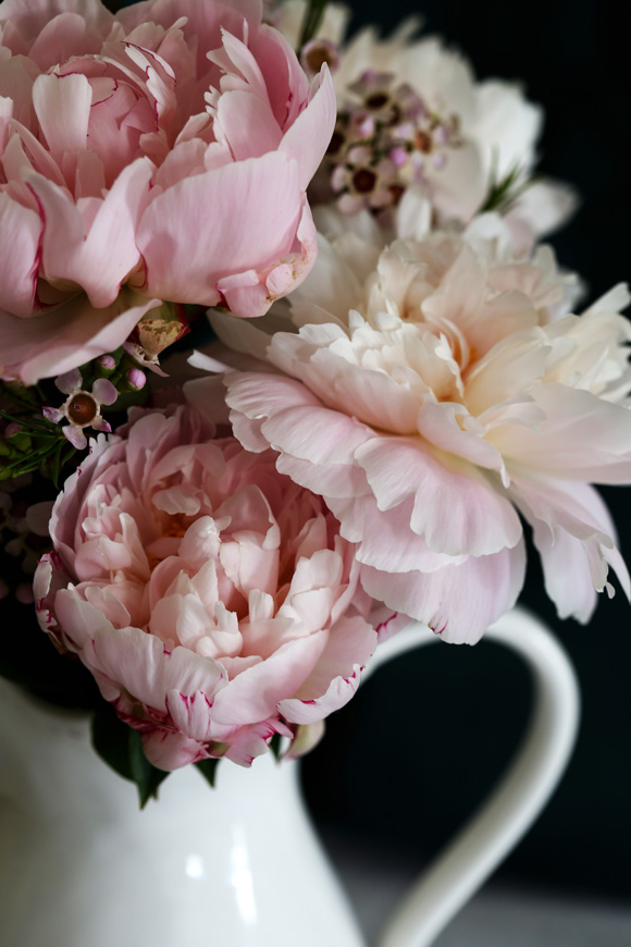 peonies