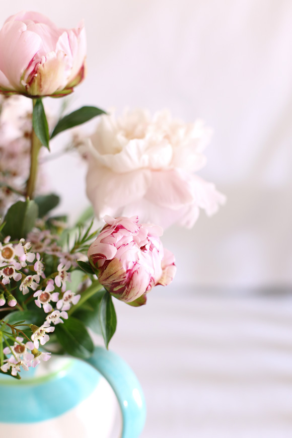 pink peonies