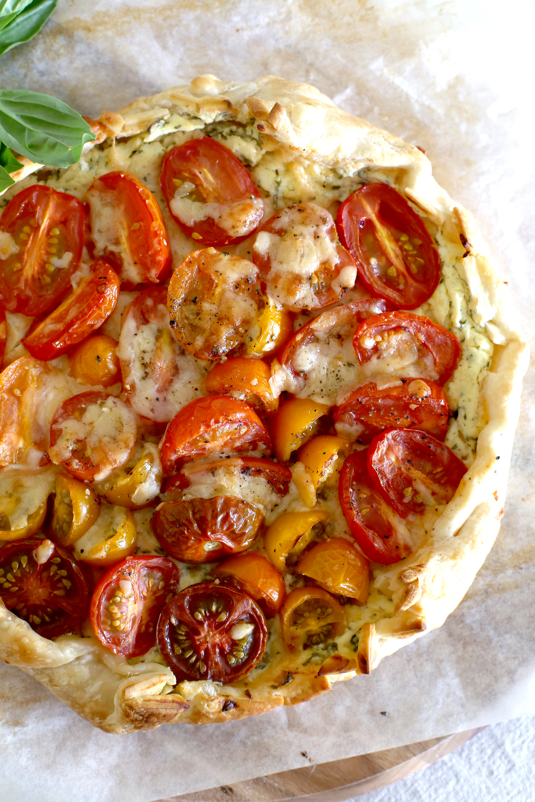 tomato cheese tart