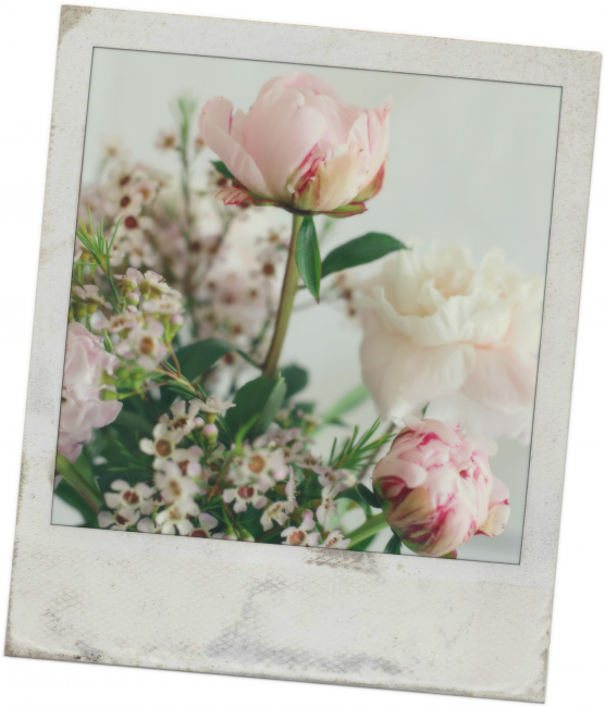 pink peonies polaroid