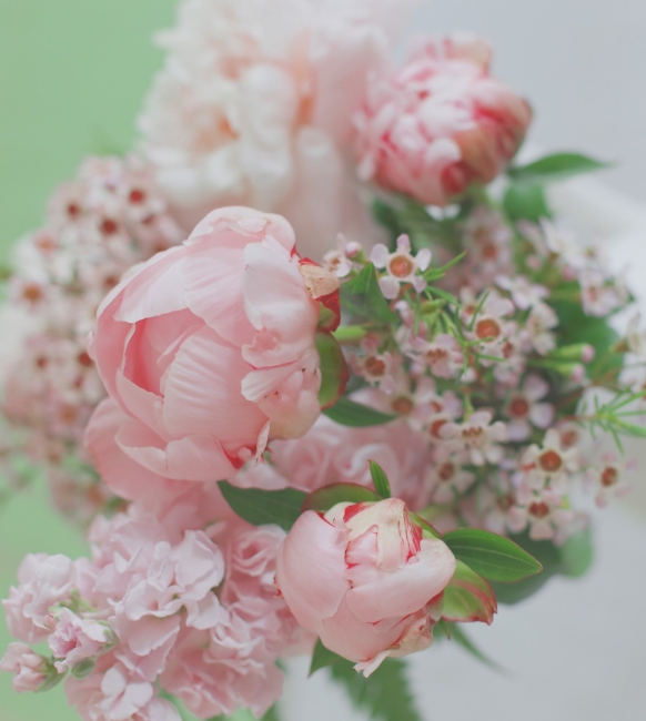 spring peonies bunch