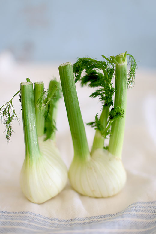 Fennel l a splash of vanilla