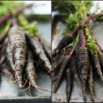 Roasted purple carrots with rosemary and garlic