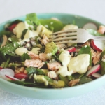 Giveaway!  Also, spring salad with salmon, rice and creamy lemon dressing (CLOSED)