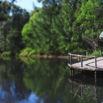 Bowies Flat Wetland, Coorparoo