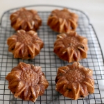 Vanilla berry coconut mini Bundt cakes