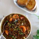 Spicy lentil & vegie soup